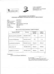 Pâte d'argile Verte-page-001